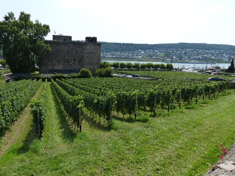 2017-08-25 12-57-20-38-BS.jpg -    Foto: Bernd Sewing  